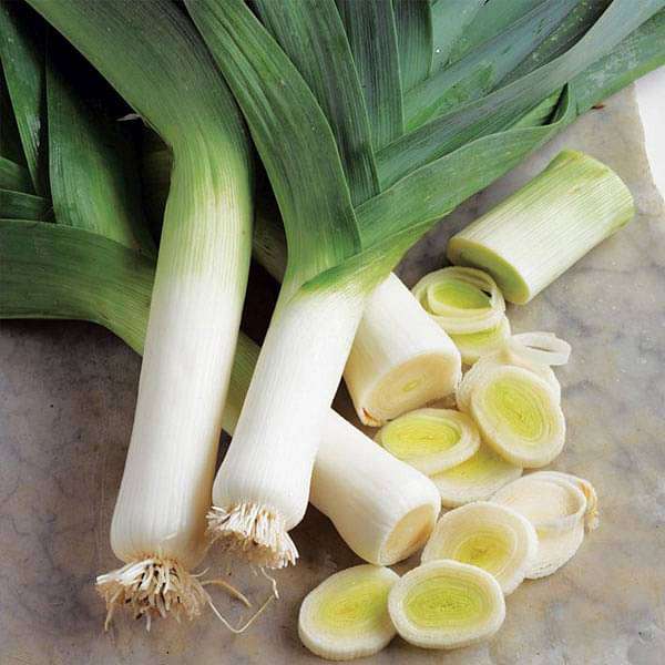 Leek American Flag Vegetable Seeds